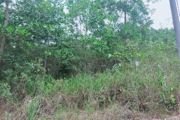 Mentakab Agricultural Land