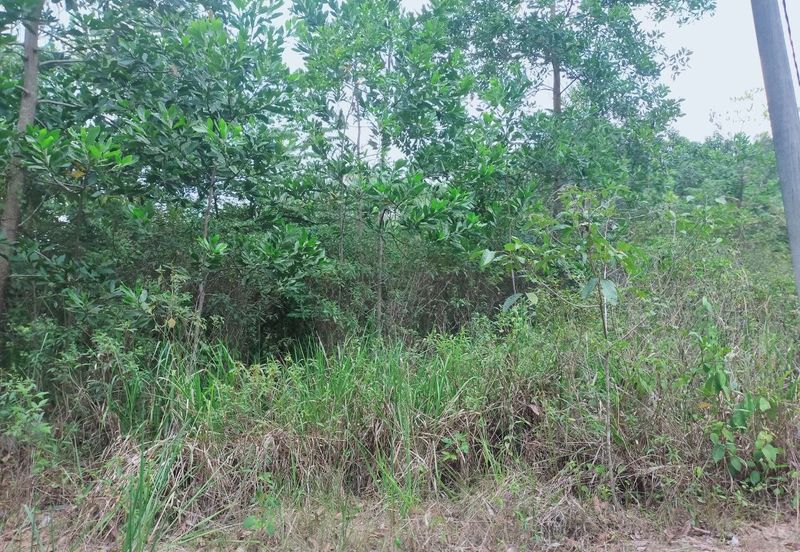 Mentakab Agricultural Land