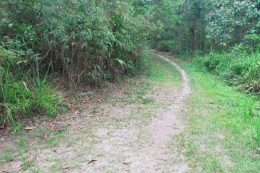 Mentakab Agricultural Land