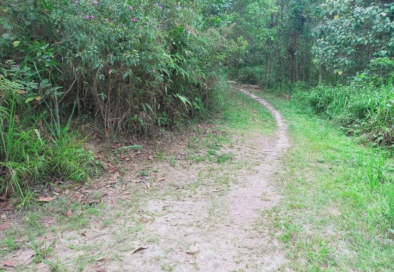 Mentakab Agricultural Land