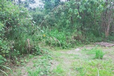 Mentakab Agricultural Land