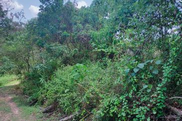 Mentakab Agricultural Land