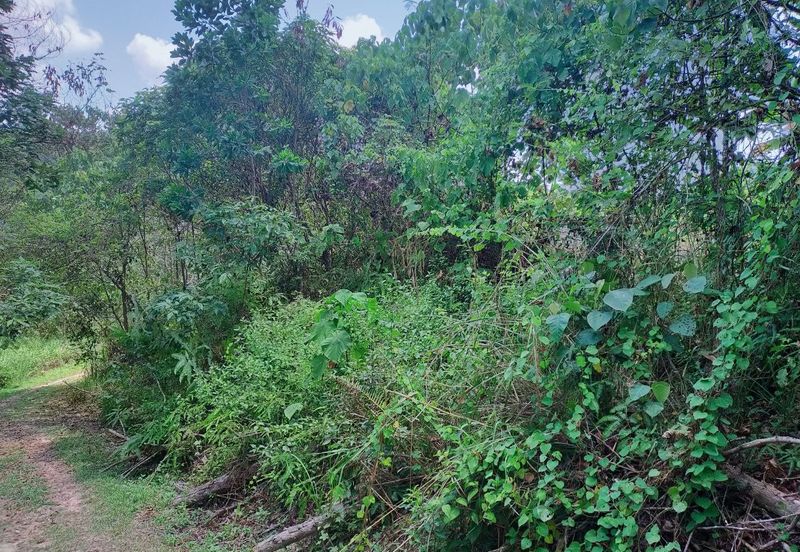 Mentakab Agricultural Land