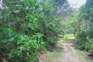 Mentakab Agricultural Land