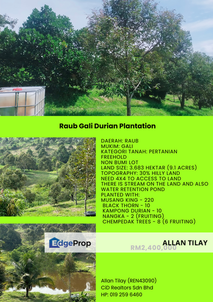 Raub Gali Durian Land, Pahang, Sega