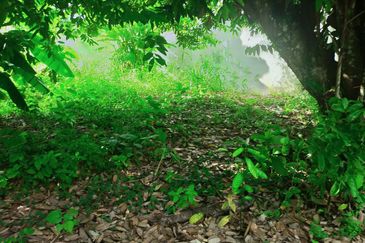 Taman Bukit Meringin