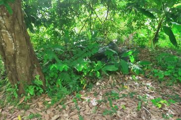 Taman Bukit Meringin