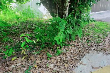 Taman Bukit Meringin