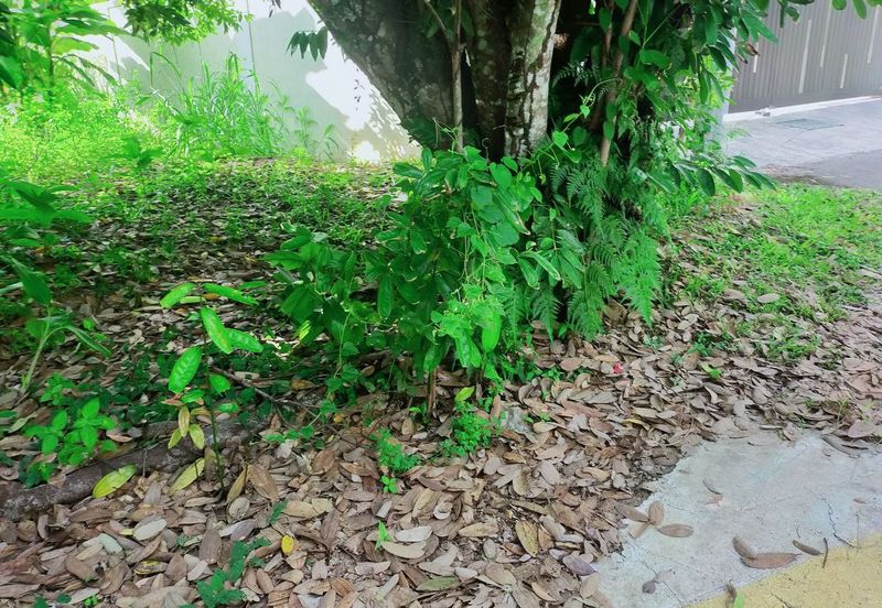 Taman Bukit Meringin