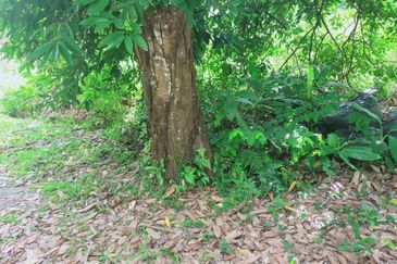 Taman Bukit Meringin