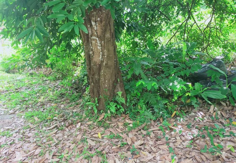 Taman Bukit Meringin