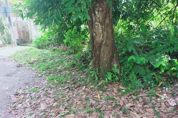 Taman Bukit Meringin