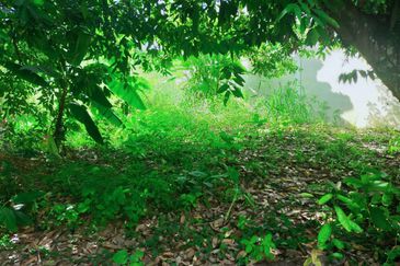 Taman Bukit Meringin