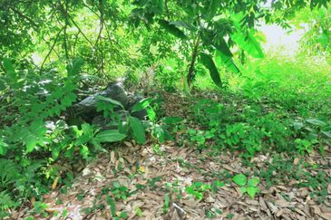 Taman Bukit Meringin