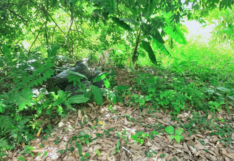 Taman Bukit Meringin