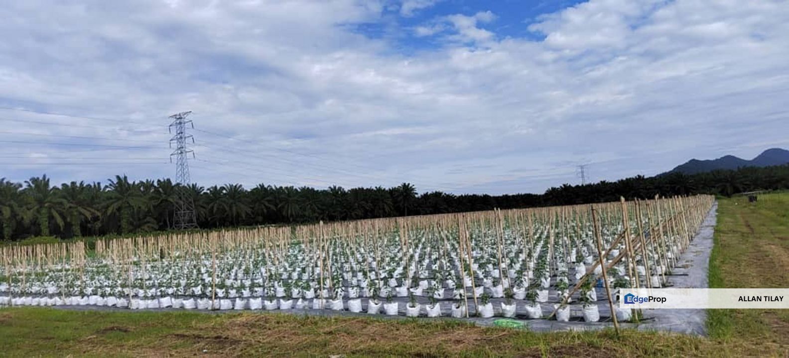 Kamunting Vacant Industrial Zoning Land, Perak, Taiping