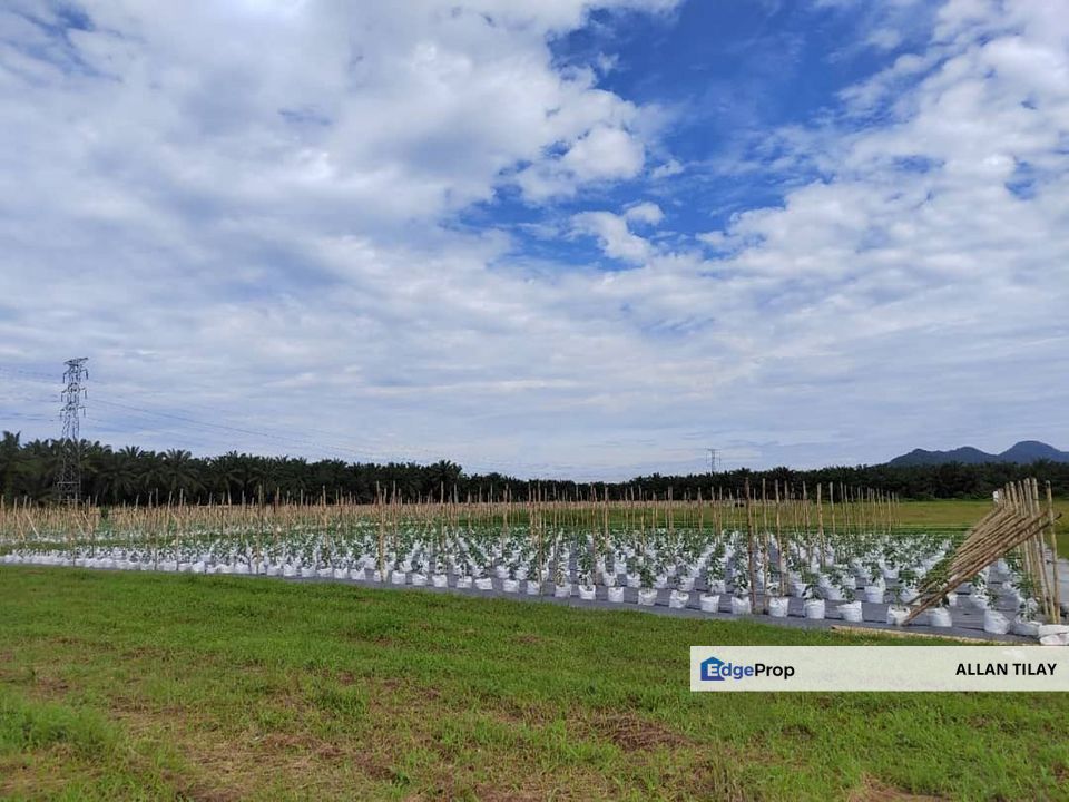 Kamunting Vacant Industrial Zoning Land, Perak, Taiping
