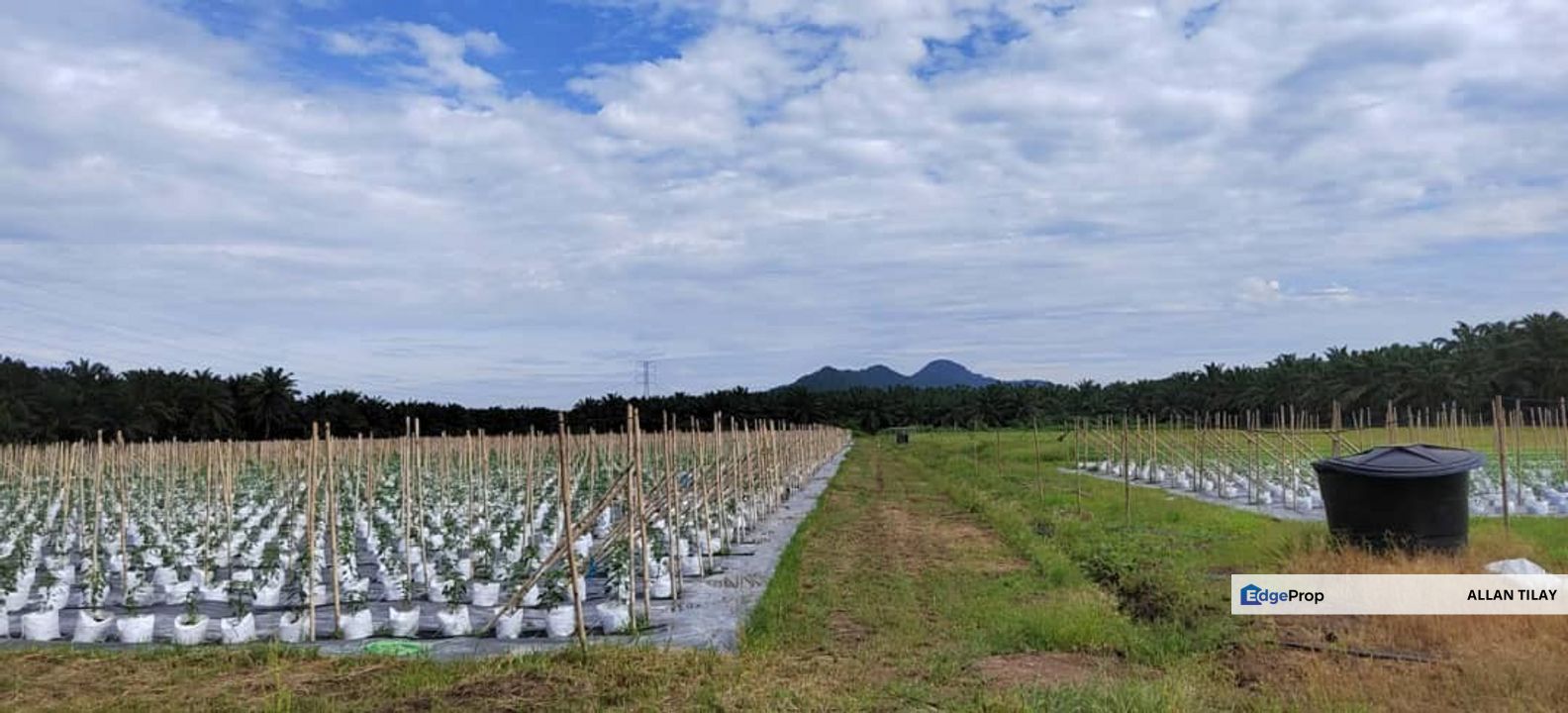 Kamunting Vacant Industrial Zoning Land, Perak, Taiping
