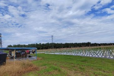 Agriculture Land @ Taiping