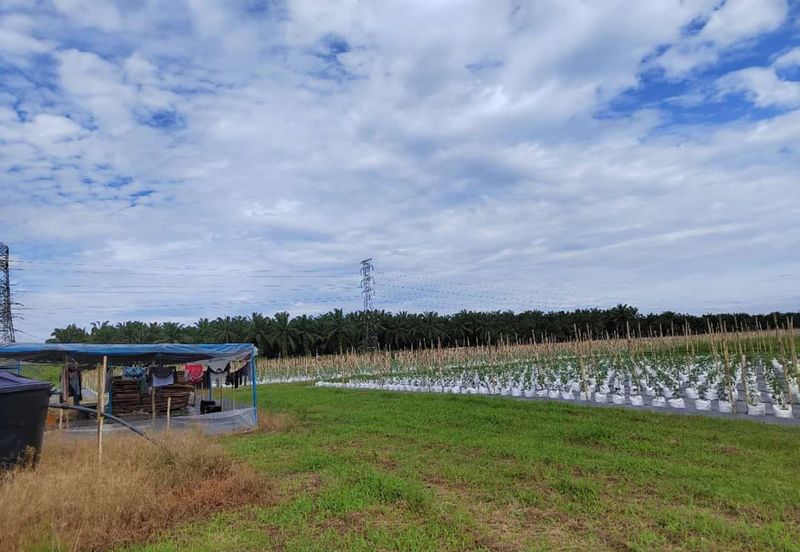 Agriculture Land @ Taiping
