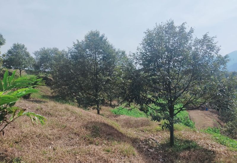 Kerling Industrial Land