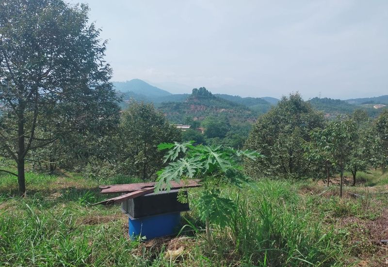 Kerling Industrial Land