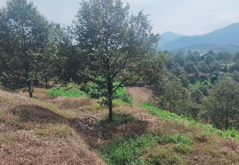 Kerling Industrial Land