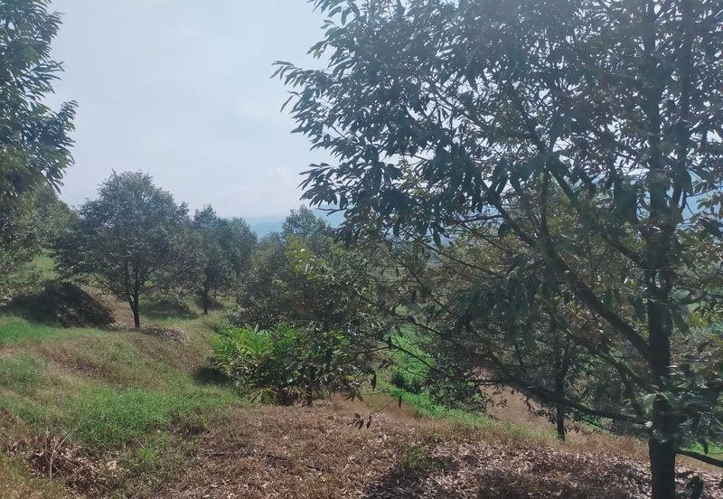 Kerling Industrial Land