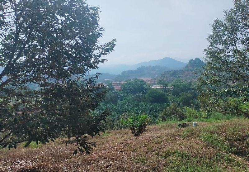 Kerling Industrial Land