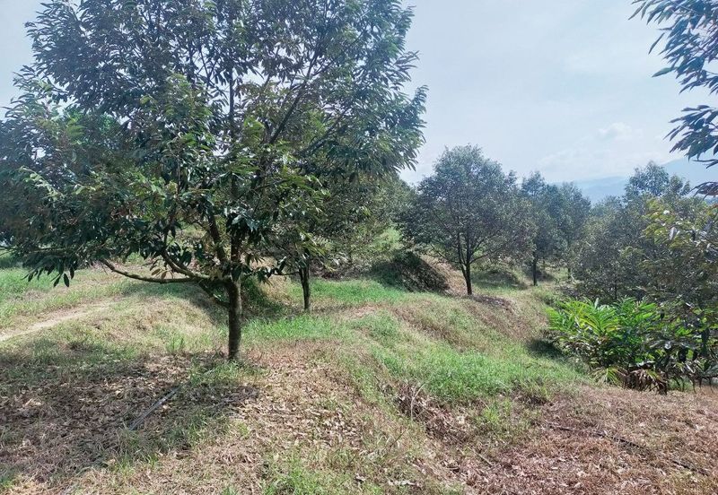 Kerling Industrial Land