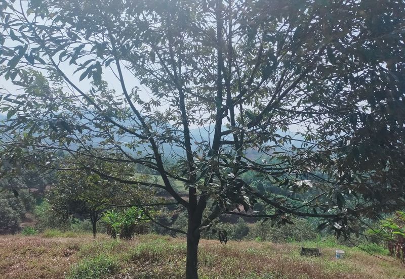 Kerling Industrial Land