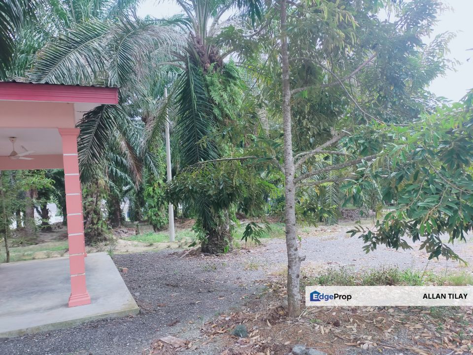 Merlimau Oil Palm Land, Melaka, Merlimau