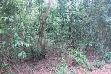 Jalan Persiaran Jasin Bestari