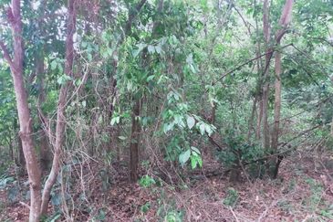 Jalan Persiaran Jasin Bestari