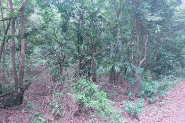 Jalan Persiaran Jasin Bestari