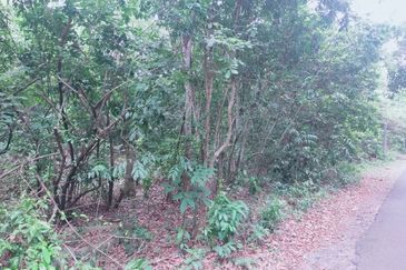 Jalan Persiaran Jasin Bestari