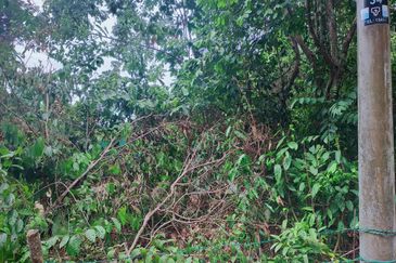 Jalan Persiaran Jasin Bestari