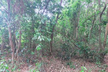 Jalan Persiaran Jasin Bestari