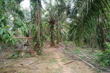 Taman Paya Rumput Bestari
