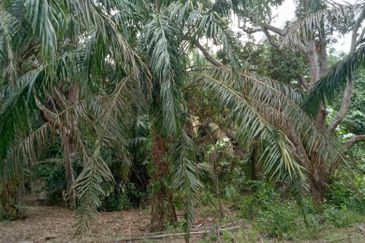 Taman Paya Rumput Bestari