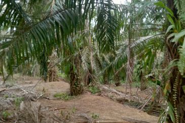 Taman Paya Rumput Bestari