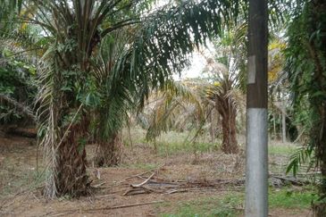 Taman Paya Rumput Bestari