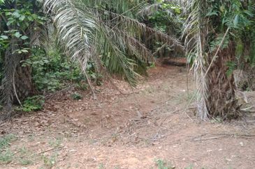 Taman Paya Rumput Bestari