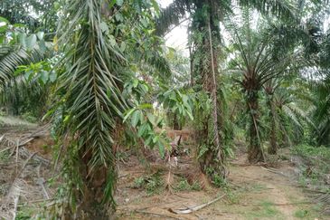 Taman Paya Rumput Bestari