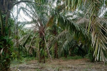 Taman Paya Rumput Bestari