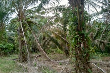 Taman Paya Rumput Bestari