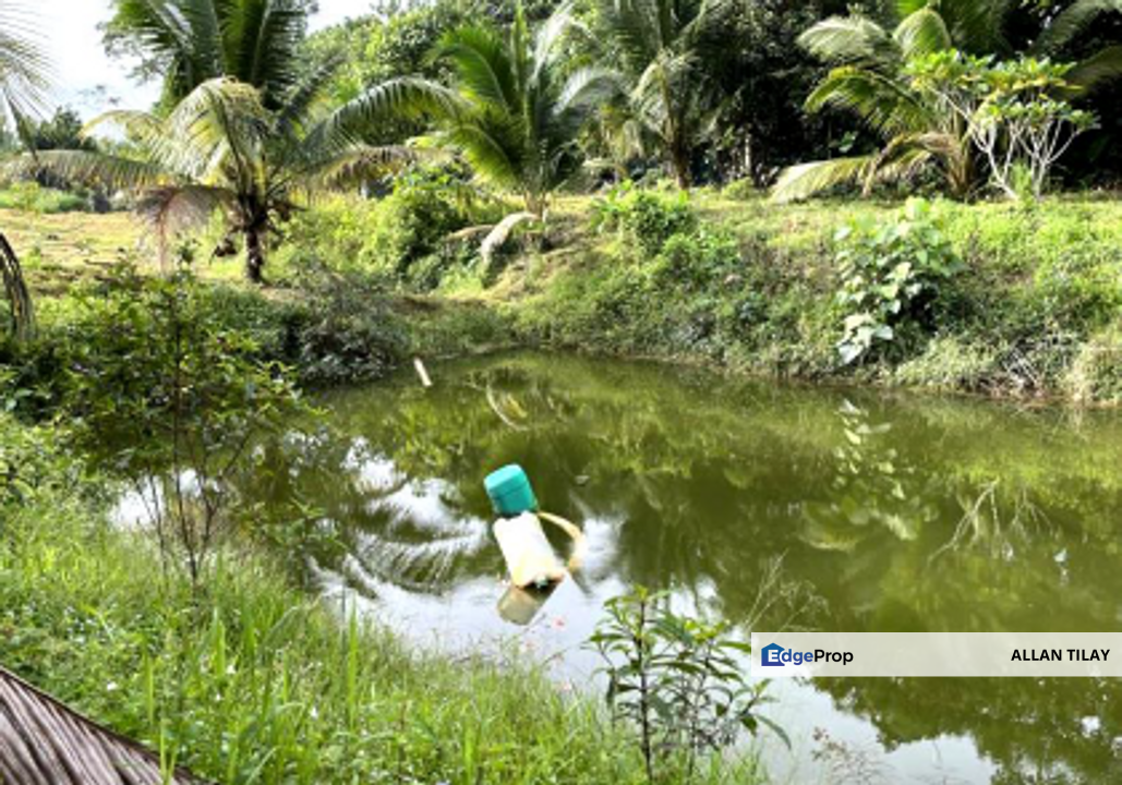 Karak Durian Land , Pahang, Karak