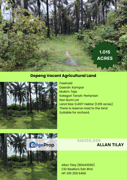 Gopeng Vacant Agricultural Land, Perak, Kampar