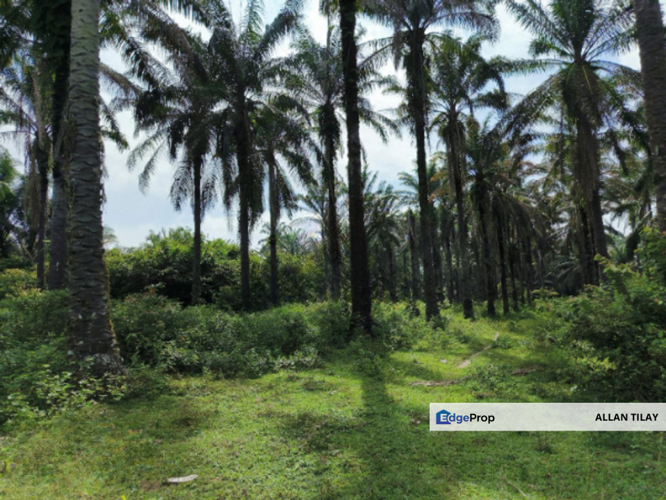 Gopeng Vacant Agricultural Land, Perak, Kampar