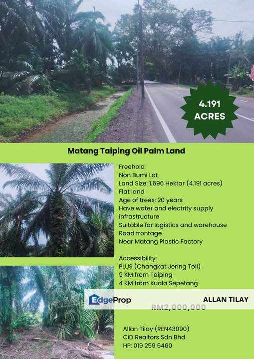 Matang Taiping Oil Palm Land, Perak, Taiping